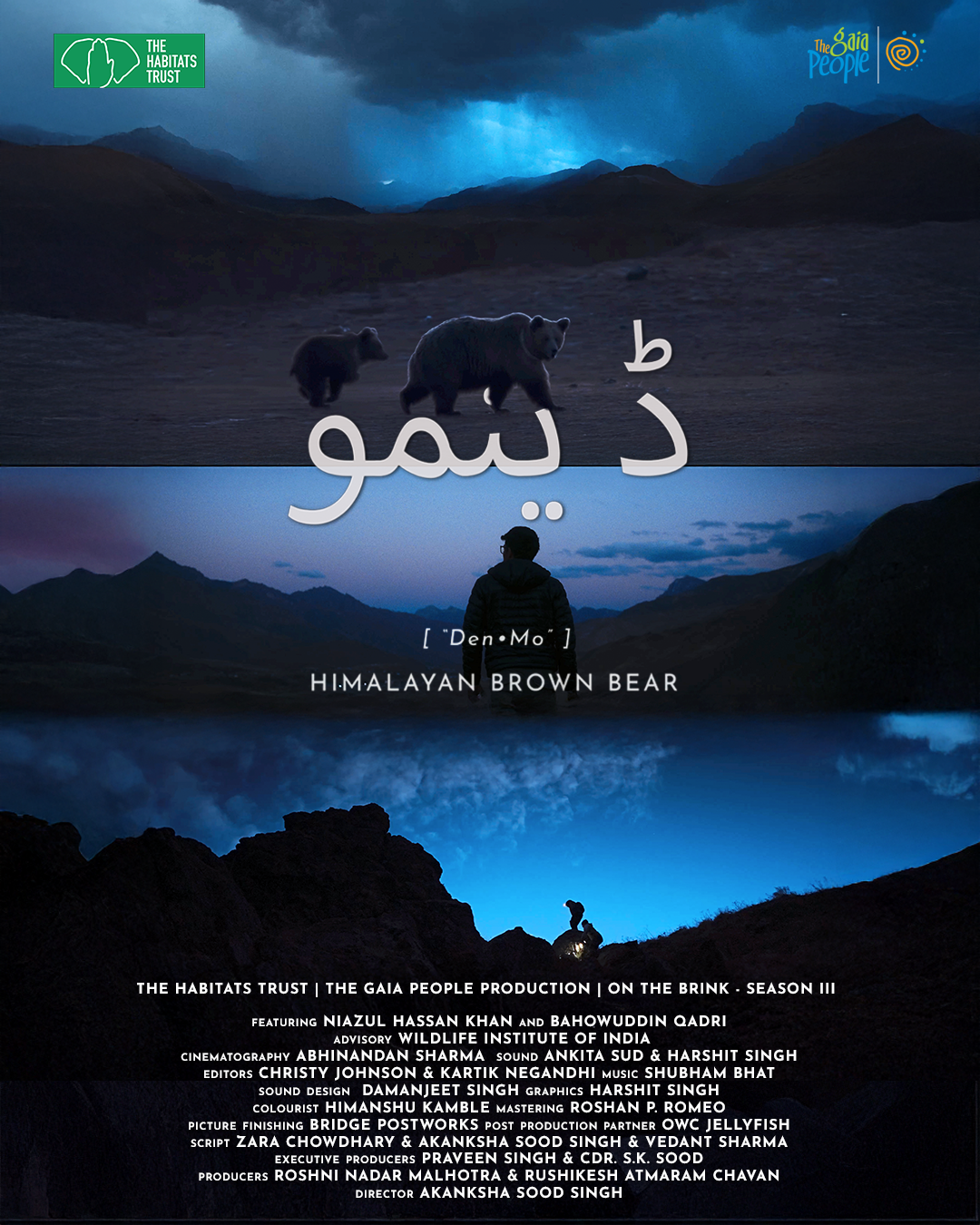 Denmo – Himalayan Brown Bear